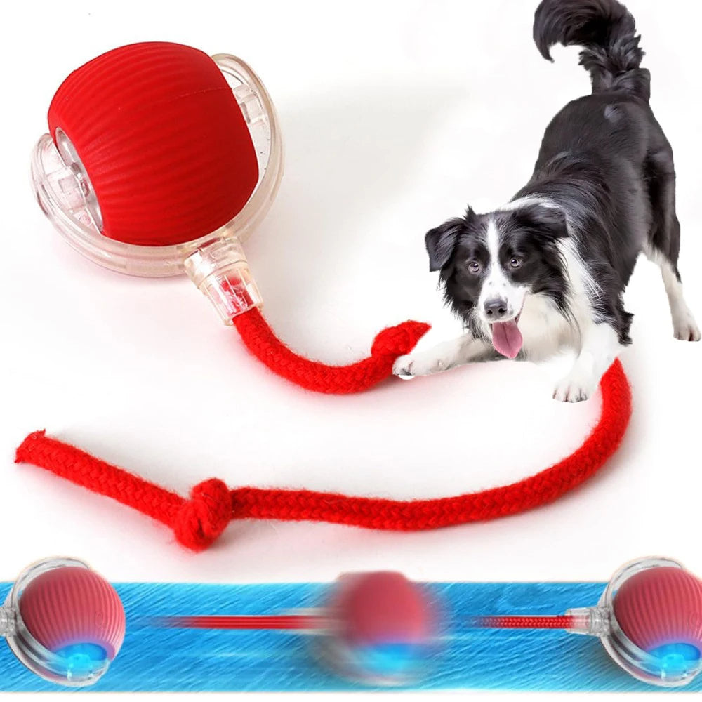 Minge Interactivă Inteligentă pentru Animale de Companie