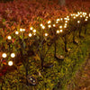 Set 8 x Lampa Solara Magia Licuricilor , Decoratiune de Gradina, LED, Lumina Calda